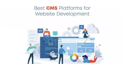 The CMS Website Development Is In Full Swing Nowadays