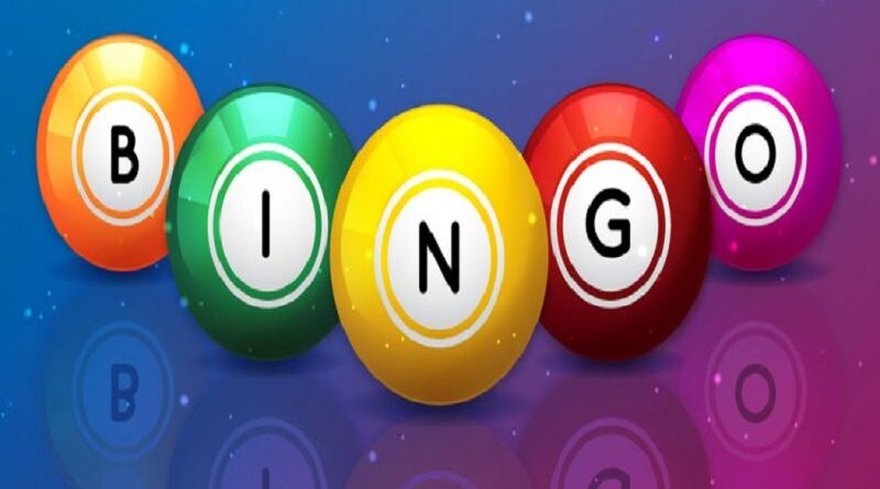 best bingo software