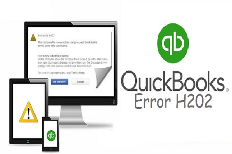How to fix Quickbooks error h202